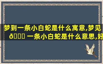 梦到一条小白蛇是什么寓意,梦见 🐈 一条小白蛇是什么意思,好不 🌹 好